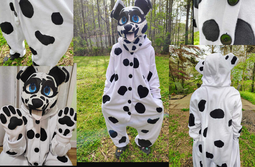 dalmation dalmation